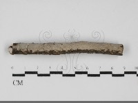 登錄號:F0031902藏品圖，第1張