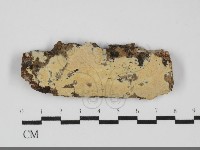 登錄號:F0031904藏品圖，第1張