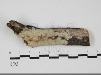 登錄號:F0031910藏品圖，第1張