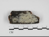 登錄號:F0031912藏品圖，第1張