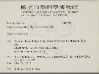 刺革菌屬藏品圖，第2張