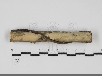 登錄號:F0031916藏品圖，第1張