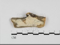 登錄號:F0031918藏品圖，第1張