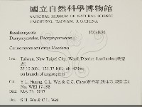 登錄號:F0031920藏品圖，第2張