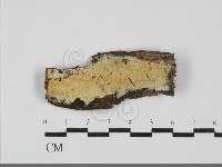 登錄號:F0031922藏品圖，第1張