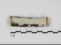 登錄號:F0031924藏品圖，第1張