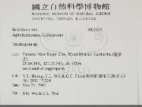 登錄號:F0031926藏品圖，第2張