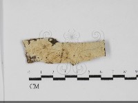 登錄號:F0031926藏品圖，第1張
