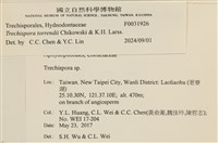 登錄號:F0031926藏品圖，第3張