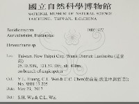刺皮菌屬藏品圖，第2張