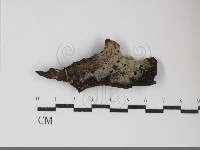 登錄號:F0031929藏品圖，第1張