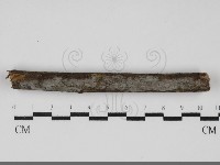 登錄號:F0031931藏品圖，第1張