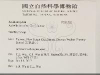 登錄號:F0031935藏品圖，第2張