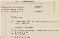 登錄號:F0031935藏品圖，第3張