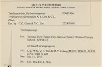 登錄號:F0031936藏品圖，第3張