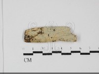 登錄號:F0031938藏品圖，第1張
