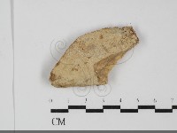 登錄號:F0031939藏品圖，第1張