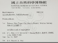登錄號:F0031942藏品圖，第2張