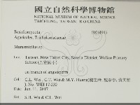 微皮傘屬藏品圖，第2張