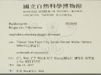 登錄號:F0031945藏品圖，第2張