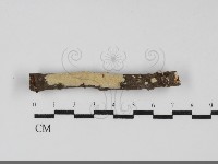 登錄號:F0031945藏品圖，第1張