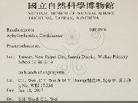 顯絲菌屬藏品圖，第2張