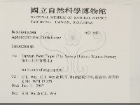 登錄號:F0031947藏品圖，第2張