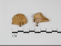登錄號:F0031950藏品圖，第1張