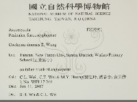 登錄號:F0031951藏品圖，第2張
