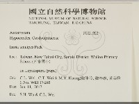 登錄號:F0031952藏品圖，第2張