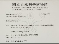 刺皮菌屬藏品圖，第2張