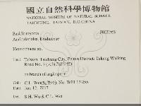 刺皮菌屬藏品圖，第2張