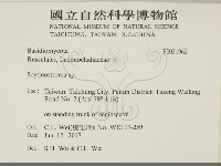 登錄號:F0031962藏品圖，第2張