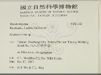 革墊菌屬藏品圖，第2張