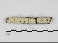 登錄號:F0031964藏品圖，第1張