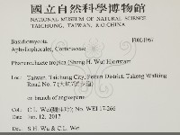 登錄號:F0031967藏品圖，第2張