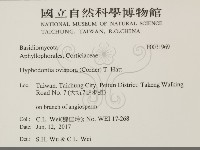 登錄號:F0031969藏品圖，第2張