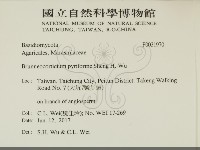 登錄號:F0031970藏品圖，第2張