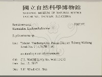 登錄號:F0031971藏品圖，第2張