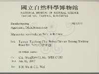 登錄號:F0031973藏品圖，第2張