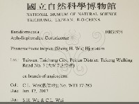 登錄號:F0031974藏品圖，第2張