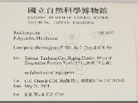 白邊黃孔菌藏品圖，第2張