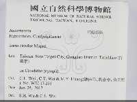 登錄號:F0031984藏品圖，第2張