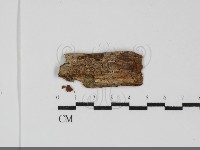 登錄號:F0031985藏品圖，第1張