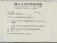 登錄號:F0031987藏品圖，第2張