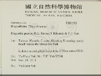登錄號:F0031988藏品圖，第2張
