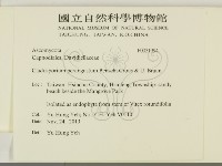 登錄號:F0031994藏品圖，第2張