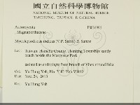 登錄號:F0031996藏品圖，第2張