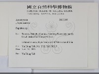 登錄號:F0031999藏品圖，第2張