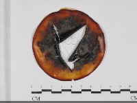 登錄號:F0031999藏品圖，第1張